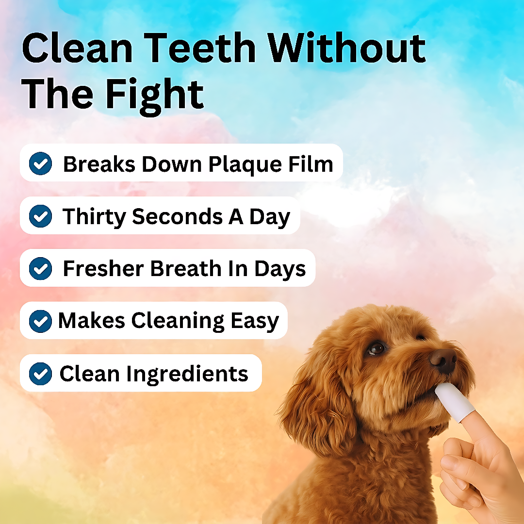 Teeth Cleaning Wipes
